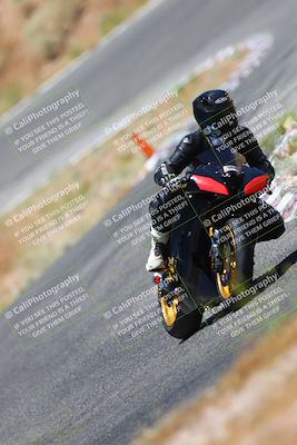 media/Jul-08-2023-2WTD (Sat) [[c8c0d2e149]]/B Group/1220pm (Turn 5)/